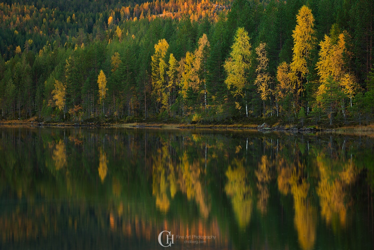 The Norwegian Autumn | Norway Travel Guide