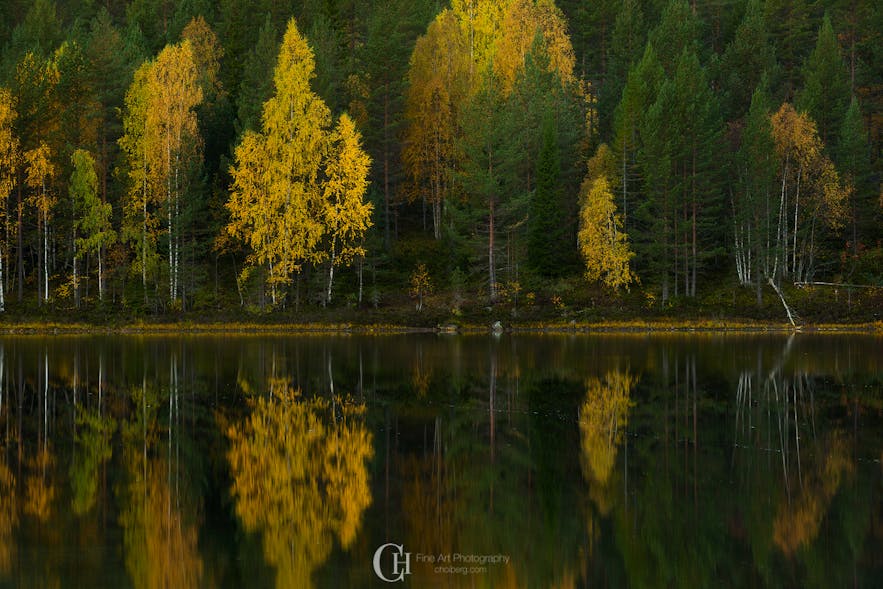autumn reflections