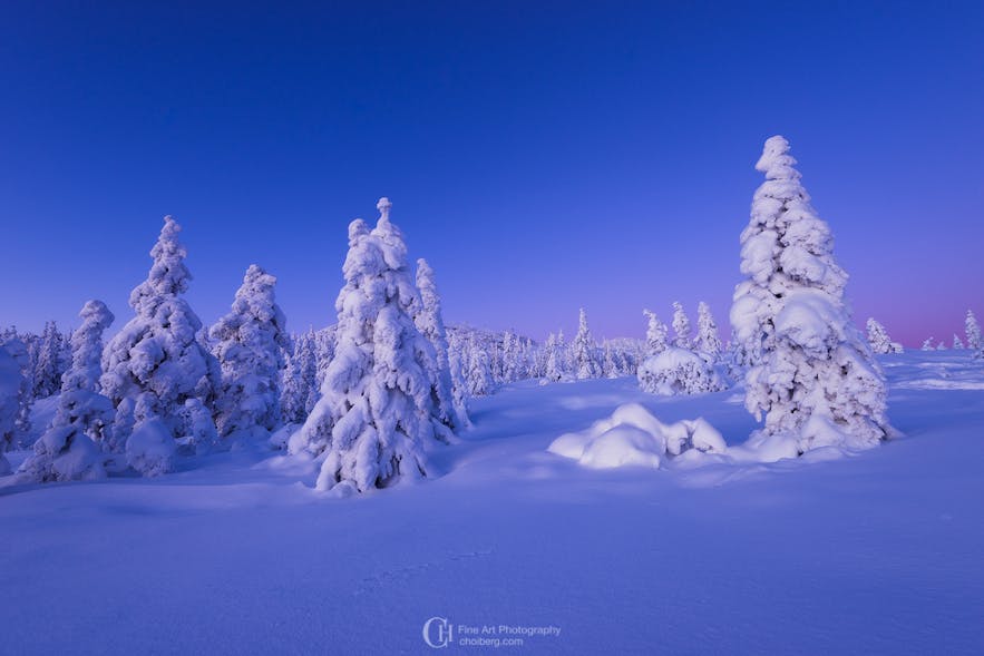 Winter Bluehour