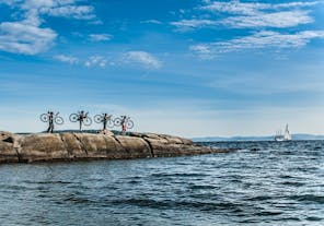 Oslo Viking &amp; Beaches Bike Tour