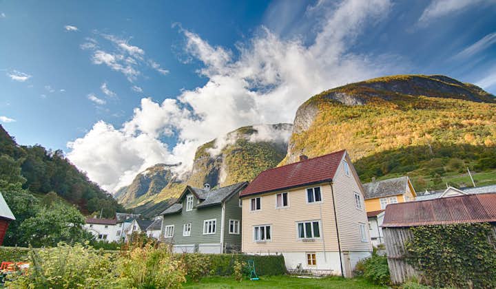 Private Tour to Sognefjord, Gudvangen and Flåm from Bergen
