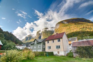 Private Tour to Sognefjord, Gudvangen and Flåm from Bergen