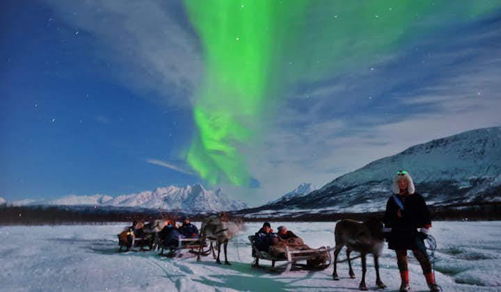 Northern Lights and Reindeer Sledding with Sami Guides