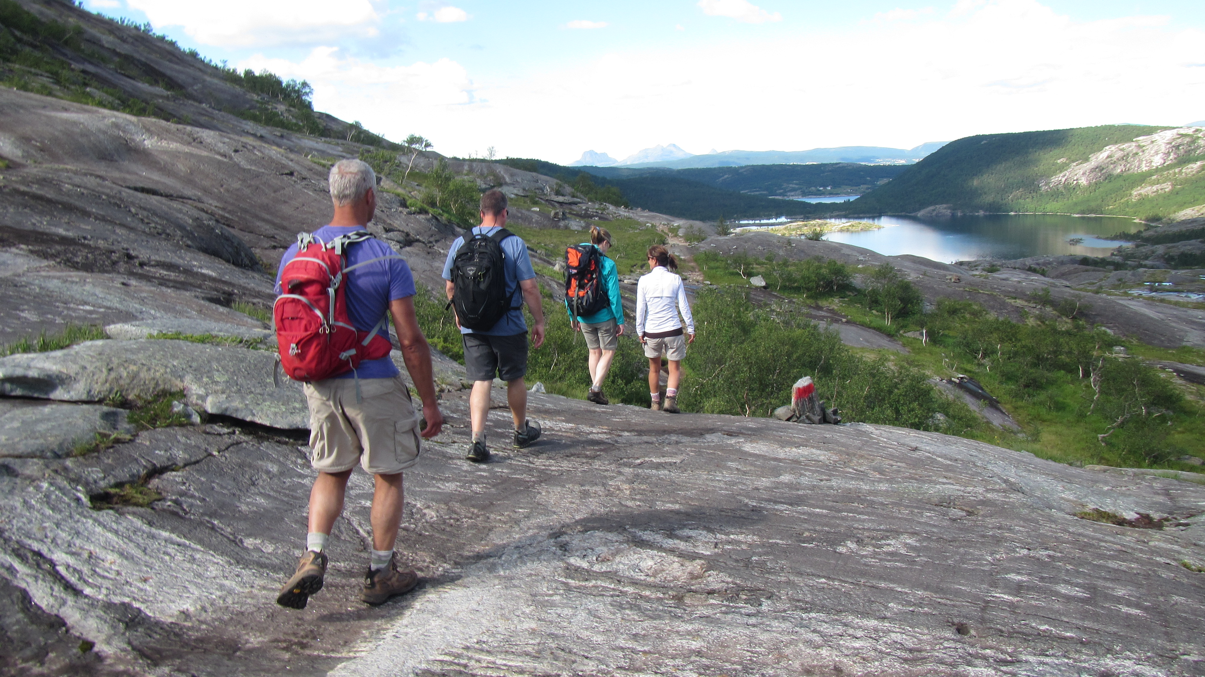 Hiking To Åselidalen Hidden Valley in Bodø Day Tour